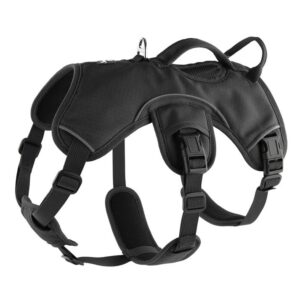 Harness